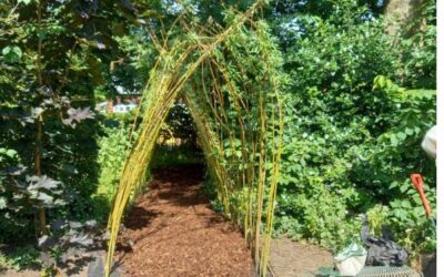 Willow Tunnel for the Wild Corner