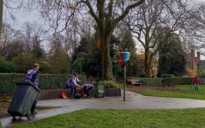 Autumnal Gardening in the Park