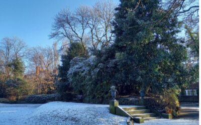 Frosty days in the Park